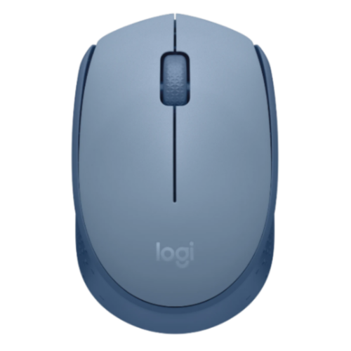 000000000041568223643artic-9-1-6 Mouse Logitech Wir M170 Blue Grey 910-006863