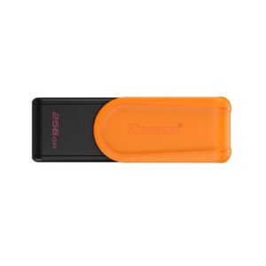 Pen Drive KINGSTON 256GB USB 3.2  DTXS (8736)