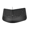 Teclado Genius Ergo KB-700,BLK,SP,USB (1124)